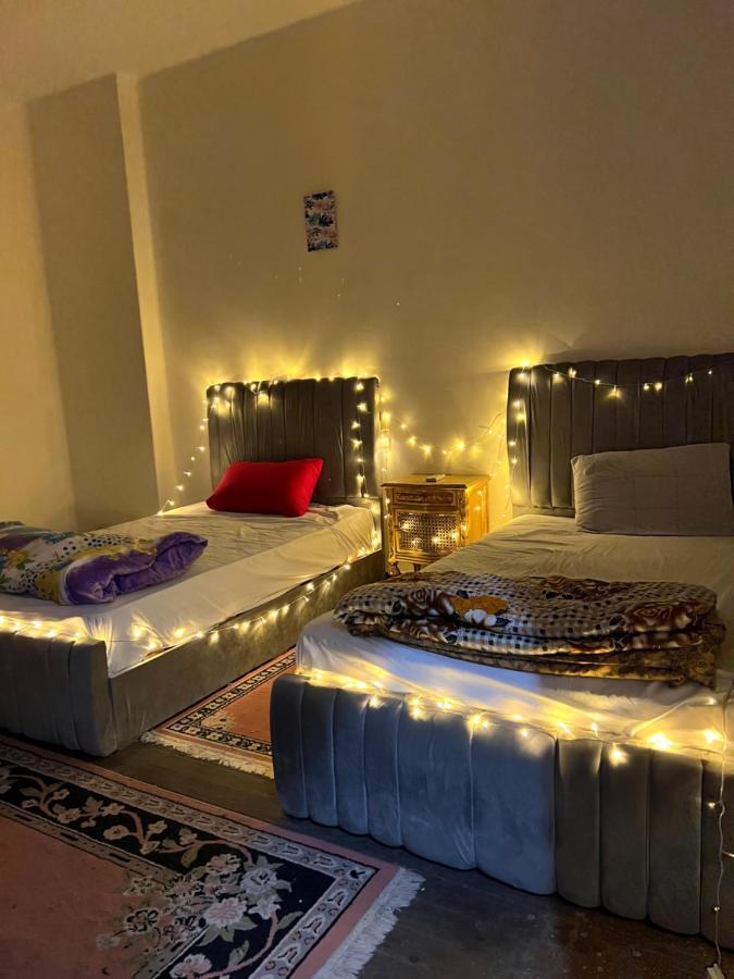 Sunny Cozy In Center Of Downtown Homestay *